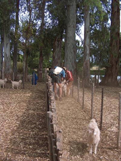 Life on the farm in South Africa